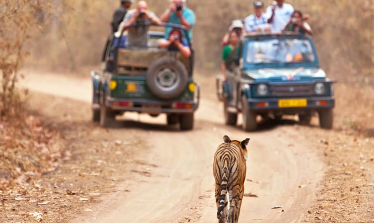 tala-jeep-safari-img